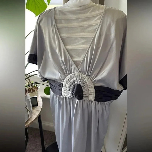 Silver and Dark Grey Silver A-Line Rainbow Dress BCBG Generation Sz 2 - Picture 3 of 6